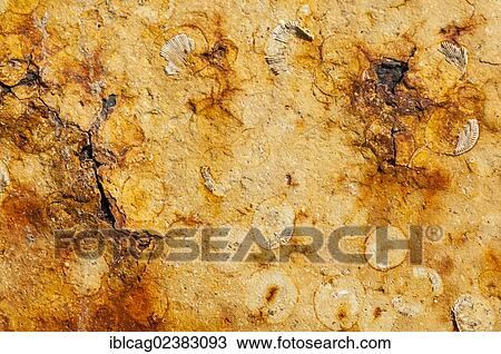 Stock Image - "Metal surface with rust and remains of paint, detailed view". Fotosearch