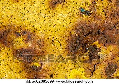 Metal surface with rust and remains of yellow paint View Large Photo Image Stock Photo - Metal surface with rust and remains of yellow paint. Fotosearch