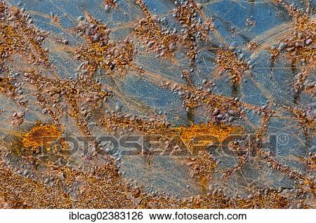 Metal surface with rust and remains of blue paint View Large Photo Image Stock Photograph - Metal surface with rust and remains of blue paint. Fotosearch
