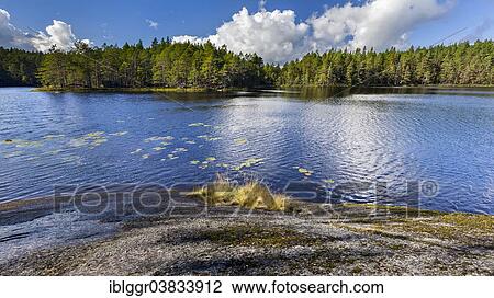 "Metesjon Lake, Tivedens National Park, Vastra Gotaland, Sweden, Europe" View Large Photo Image Stock Image - "Metesjon Lake, Tivedens National Park, Vastra Gotaland, Sweden, Europe". Fotosearch