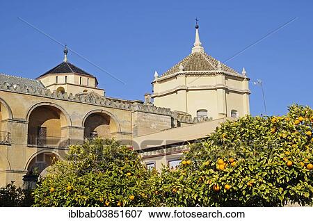 "Mezquita, mosque, cathedral, Cordoba, Cordoba province, Andalusia, Spain, Europe" View Large Photo Image Stock Photo - "Mezquita, mosque, cathedral, Cordoba, Cordoba province, Andalusia, Spain, Europe". Fotosearch