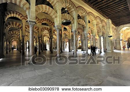 "Mezquita or Great Mosque of Cordoba, interior, Cordoba, Cordoba province, Andalusia, Spain, Europe" View Large Photo Image Stock Photo - "Mezquita or Great Mosque of Cordoba, interior, Cordoba, Cordoba province, Andalusia, Spain, Europe". Fotosearch