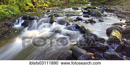 "Mid-mountain stream with rocks in the stream bed, Westerwald, Greifenstein, Lahn-Dill Kreis, Hesse, Germany, Europe" View Large Photo Image Stock Image - "Mid-mountain stream with rocks in the stream bed, Westerwald, Greifenstein, Lahn-Dill Kreis, Hesse, Germany, Europe". Fotosearch