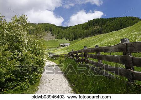 "Miihlenweg trail in the Lungiaru valley, Province of South Tyrol, Trentino-Alto Adige, Italy, Europe" View Large Photo Image Stock Image - "Miihlenweg trail in the Lungiaru valley, Province of South Tyrol, Trentino-Alto Adige, Italy, Europe". Fotosearch
