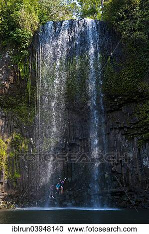 "Millaa Millaa Falls, Atherton Tableland, Queensland, Australia, Oceania" View Large Photo Image Stock Image - "Millaa Millaa Falls, Atherton Tableland, Queensland, Australia, Oceania". Fotosearch