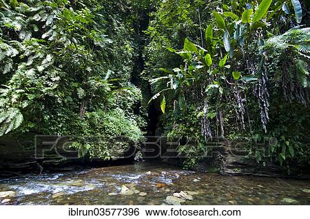 "Millennium Cave, Espiritu Santo, Sanma Province, Vanuatu, Oceania" View Large Photo Image Stock Photograph - "Millennium Cave, Espiritu Santo, Sanma Province, Vanuatu, Oceania". Fotosearch