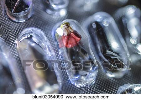 Miniature figure in a blister pack of tablets View Large Photo Image Stock Image - Miniature figure in a blister pack of tablets. Fotosearch