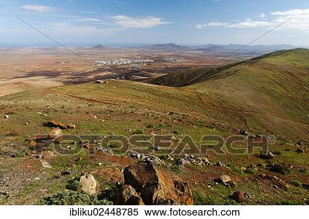 "Mirador de Morro Velosa, overlooking Antigua, Fuerteventura, Canary Islands, Spain, Europe" View Large Photo Image Stock Photography - "Mirador de Morro Velosa, overlooking Antigua, Fuerteventura, Canary Islands, Spain, Europe". Fotosearch