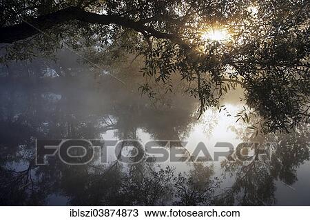 "Mist at the Ruhr, Witten, Ruhr district, North Rhine-Westphalia, Germany, Europe" View Large Photo Image Stock Image - "Mist at the Ruhr, Witten, Ruhr district, North Rhine-Westphalia, Germany, Europe". Fotosearch