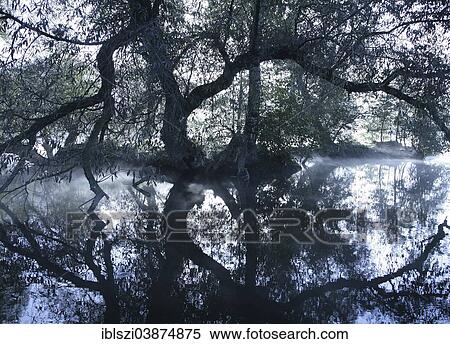 "Mist at the Ruhr, Witten, Ruhr district, North Rhine-Westphalia, Germany, Europe" View Large Photo Image Stock Photography - "Mist at the Ruhr, Witten, Ruhr district, North Rhine-Westphalia, Germany, Europe". Fotosearch