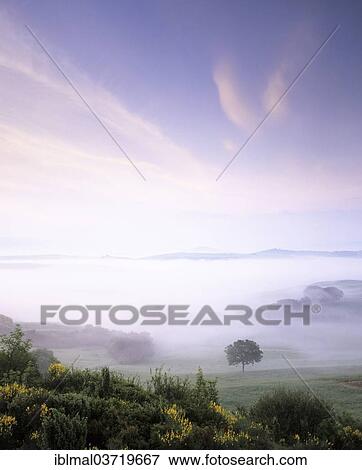 "Misty landscape in the early morning, Val d'Orcia region, Province of Siena, Tuscany, Italy, Europe" View Large Photo Image Stock Photo - "Misty landscape in the early morning, Val d'Orcia region, Province of Siena, Tuscany, Italy, Europe". Fotosearch