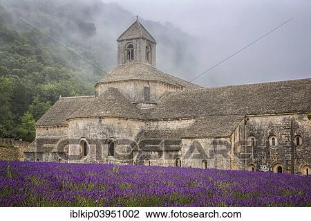 Stock Image - "Misty morning light over the Romanesque Cistercian Abbey of Notre Dame of Senanque set amongst flowering lavender fields, near Gordes, Provence, France, Europe". Fotosearch