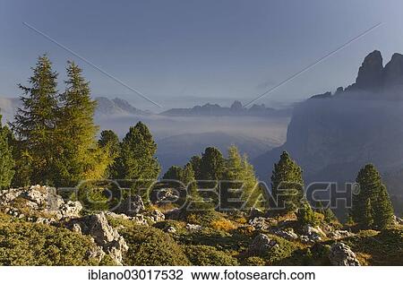 "Mixed forest at Passo Sella, Citta dei Sassi, Stone Town, towards Passo Gardena, right, Sella mountain range, Mt Rotspitze and Mt Tschierspitze at back, Sella Pass, Dolomites, Dolomiten, South Tyrol province, Trentino-Alto Adige, Italy, Europe" View Large Photo Image Stock Image - "Mixed forest at Passo Sella, Citta dei Sassi, Stone Town, towards Passo Gardena, right, Sella mountain range, Mt Rotspitze and Mt Tschierspitze at back, Sella Pass, Dolomites, Dolomiten, South Tyrol province, Trentino-Alto Adige, Italy, Europe". Fotosearch