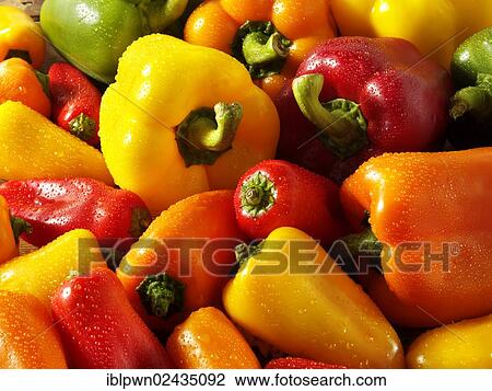 Stock Image - "Mixed red, green, yellow and orange fresh bell peppers". Fotosearch