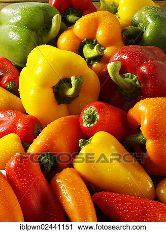 Stock Image - "Mixed red, green, yellow and orange fresh bell peppers". Fotosearch