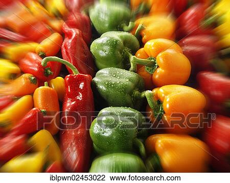 Stock Image - "Mixed red, green, yellow and orange bell peppers". Fotosearch