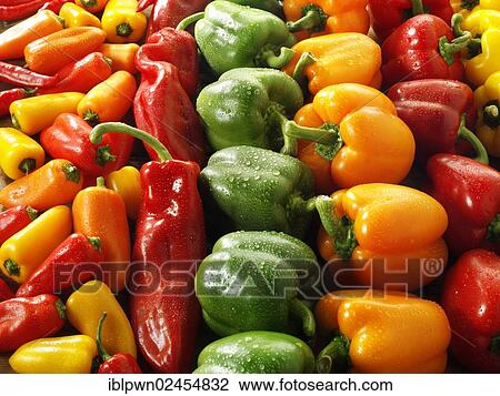 Stock Image - "Mixed red, green, yellow and orange fresh bell peppers". Fotosearch