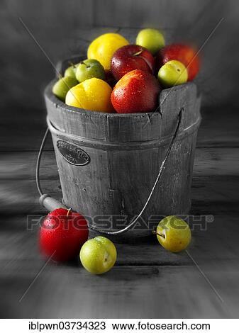 "Mixed red, yellow and green plums" View Large Photo Image Stock Image - "Mixed red, yellow and green plums". Fotosearch