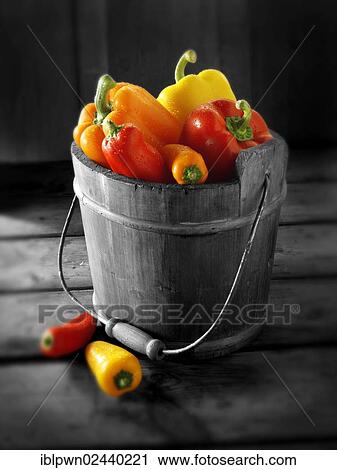 "Mixed red, yellow and orange fresh bell peppers" View Large Photo Image Stock Image - "Mixed red, yellow and orange fresh bell peppers". Fotosearch