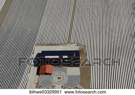 "Modern agriculture, modern farmhouse, field covered with tarpaulins, cultivation, greenhouse, aerial view, Trittau, Schleswig-Holstein, Germany, Europe" View Large Photo Image Stock Image - "Modern agriculture, modern farmhouse, field covered with tarpaulins, cultivation, greenhouse, aerial view, Trittau, Schleswig-Holstein, Germany, Europe". Fotosearch