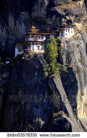 "Monastery and temple of Taktshang-Lhakang, also called the """"Tiger's Lair"""", Paro valley, Paro district, Bhutan, Asia" View Large Photo Image Stock Photography - "Monastery and temple of Taktshang-Lhakang, also called the """"Tiger's Lair"""", Paro valley, Paro district, Bhutan, Asia". Fotosearch