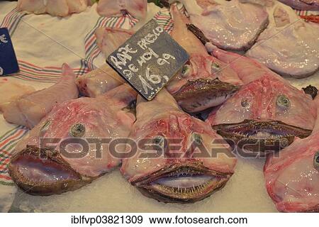 "Monkfish, Mercat Municipal de l'Olivar municipal market, Palma, Mallorca, Balearic Islands, Spain, Europe" View Large Photo Image Stock Photo - "Monkfish, Mercat Municipal de l'Olivar municipal market, Palma, Mallorca, Balearic Islands, Spain, Europe". Fotosearch
