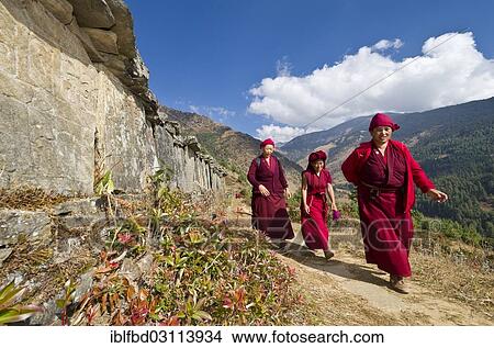 "Monks and nuns wearing red cloths walking on a small path along a mountain slope, Junbesi, Solukhumbu District, Sagarmatha Zone, Nepal, Asia" View Large Photo Image Picture - "Monks and nuns wearing red cloths walking on a small path along a mountain slope, Junbesi, Solukhumbu District, Sagarmatha Zone, Nepal, Asia". Fotosearch
