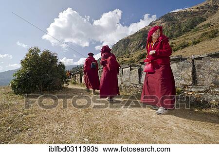 "Monks and nuns wearing red cloths walking on a small path along a mountain slope, Junbesi, Solukhumbu District, Sagarmatha Zone, Nepal, Asia" View Large Photo Image Stock Photography - "Monks and nuns wearing red cloths walking on a small path along a mountain slope, Junbesi, Solukhumbu District, Sagarmatha Zone, Nepal, Asia". Fotosearch
