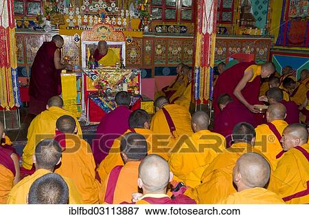 "Monks wearing yellow cloths listening the teachings of Taklung Tsetru Rinpoche in Junbesi Gompa, Junbesi, Solukhumbu District, Sagarmatha Zone, Nepal, Asia" View Large Photo Image Stock Photo - "Monks wearing yellow cloths listening the teachings of Taklung Tsetru Rinpoche in Junbesi Gompa, Junbesi, Solukhumbu District, Sagarmatha Zone, Nepal, Asia". Fotosearch
