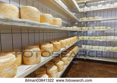 Stock Image - "Montafoner Sauerkase cheese or Sura Kees cheese ripening in a depot, Obere Wasserstubenalpe, Wasserstubental valley, Verwall mountains, Vorarlberg, Austria, Europe". Fotosearch