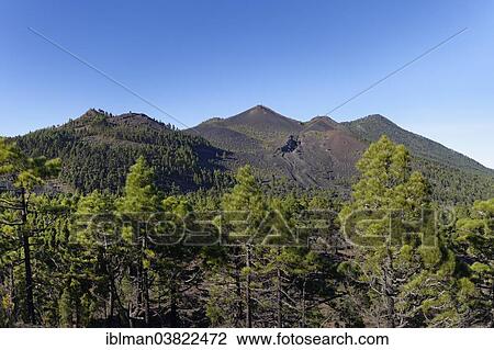 "Montana Pelada and San Martin volcano, Cumbre Vieja in Fuencaliente, La Palma, Canary Islands, Spain, Europe" View Large Photo Image Stock Image - "Montana Pelada and San Martin volcano, Cumbre Vieja in Fuencaliente, La Palma, Canary Islands, Spain, Europe". Fotosearch