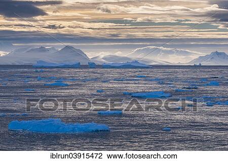 "Moody light over the icebergs and glaciers, Cierva Cove, Chavdar Peninsula, Antarctica" View Large Photo Image Stock Image - "Moody light over the icebergs and glaciers, Cierva Cove, Chavdar Peninsula, Antarctica". Fotosearch