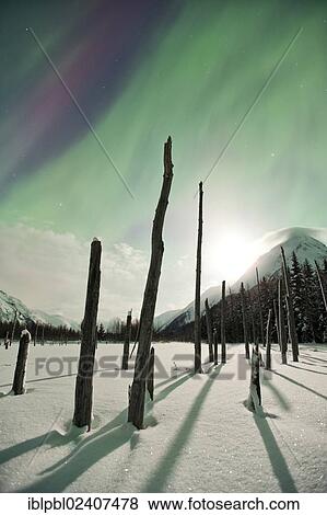 Stock Photo - "Moonlight and aurora in Portage Valley, Alaska". Fotosearch