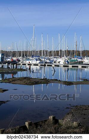 Picture - "Moored yachts on a River Hamble marina at Lower Swanwick, England, United Kingdom, Europe". Fotosearch