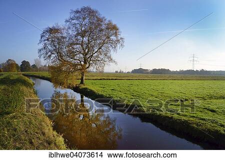 Picture - "Moorgurtel nature reserve, Suderelbmarsch, Altes Land, between Neugraben-Fischbek and Neu Wulmstorf, Germany, Europe". Fotosearch