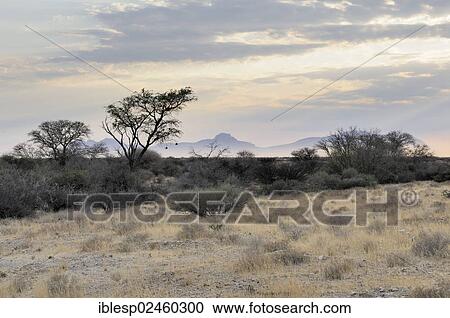 "Morning fog, landscape near Spitzkoppe, Namib Desert, Namibia, Africa" View Large Photo Image Stock Image - "Morning fog, landscape near Spitzkoppe, Namib Desert, Namibia, Africa". Fotosearch