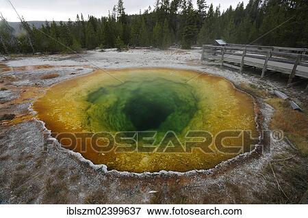 "Morning Glory Pool, Yellowstone National Park, Wyoming, USA" View Large Photo Image Stock Photo - "Morning Glory Pool, Yellowstone National Park, Wyoming, USA". Fotosearch