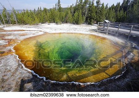 "Morning Glory Pool, Yellowstone National Park, Wyoming, USA" View Large Photo Image Stock Photo - "Morning Glory Pool, Yellowstone National Park, Wyoming, USA". Fotosearch