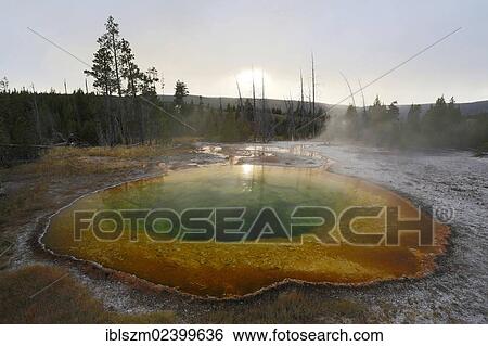 "Morning Glory Pool, Yellowstone National Park, Wyoming, USA" View Large Photo Image Stock Photograph - "Morning Glory Pool, Yellowstone National Park, Wyoming, USA". Fotosearch