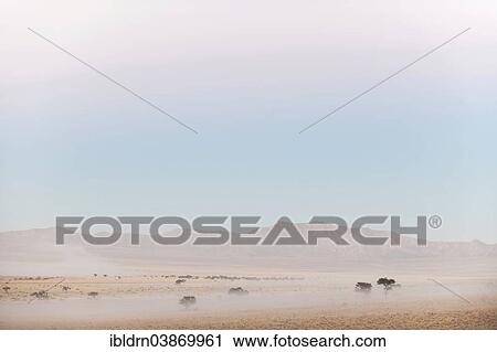 "Morning mist in the Namib Desert, Aus, ÇKaras, Namibia, Africa" View Large Photo Image Stock Image - "Morning mist in the Namib Desert, Aus, ÇKaras, Namibia, Africa". Fotosearch