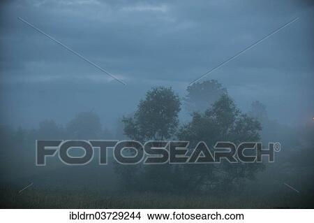 "Morning mist over a meadow, near Galkowo, Warmian-Masurian Voivodeship or Warmia-Masuria Province, Poland, Europe" View Large Photo Image Picture - "Morning mist over a meadow, near Galkowo, Warmian-Masurian Voivodeship or Warmia-Masuria Province, Poland, Europe". Fotosearch