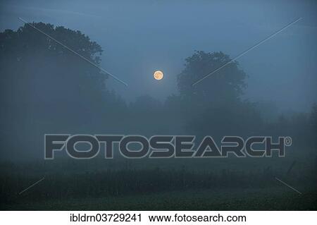 "Morning mist over a meadow, near Galkowo, Warmian-Masurian Voivodeship or Warmia-Masuria Province, Poland, Europe" View Large Photo Image Stock Image - "Morning mist over a meadow, near Galkowo, Warmian-Masurian Voivodeship or Warmia-Masuria Province, Poland, Europe". Fotosearch