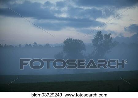 Stock Photo - "Morning mist over a meadow, near Galkowo, Warmian-Masurian Voivodeship or Warmia-Masuria Province, Poland, Europe". Fotosearch