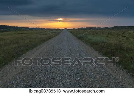 Stock Image - "Morning mood over a gravel road through heathland, Henne Strand, Jutland, Denmark, Europe". Fotosearch