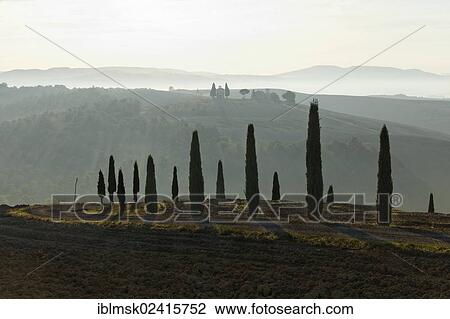 Stock Image - Morning mood, rolling hills in autumn, view towards Vitaleta Chapel, Val d'Orcia, Orcia Valley, UNESCO World Cultural Heritage Site, Tuscany region, province of Siena, Italy, Europe. Fotosearch