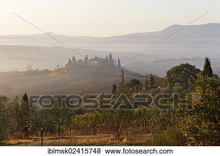 Morning mood, view towards Podere Belvedere, Val d'Orcia, Orcia Valley, UNESCO World Cultural Heritage Site, Tuscany region, province of Siena, Italy, Europe View Large Photo Image Stock Photo - Morning mood, view towards Podere Belvedere, Val d'Orcia, Orcia Valley, UNESCO World Cultural Heritage Site, Tuscany region, province of Siena, Italy, Europe. Fotosearch