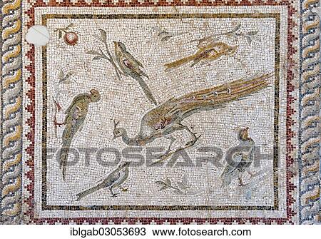 "Mosaic of Birds and flowers from Daphne or Harbiye, 2nd cent. A. C., Hatay Archaeology Museum, Antakya, Hatay Province, Turkey, Asia" View Large Photo Image Stock Image - "Mosaic of Birds and flowers from Daphne or Harbiye, 2nd cent. A. C., Hatay Archaeology Museum, Antakya, Hatay Province, Turkey, Asia". Fotosearch