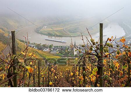 "Moselle River loop in autumn, view from Calmont Bremm, Rhineland-Palatinate, Germany, Europe" View Large Photo Image Stock Image - "Moselle River loop in autumn, view from Calmont Bremm, Rhineland-Palatinate, Germany, Europe". Fotosearch