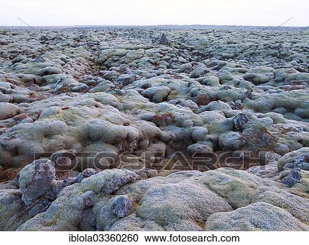 "Moss-covered lava fields on Ring Road No 1, Southern Region, Iceland, Europe" View Large Photo Image Stock Image - "Moss-covered lava fields on Ring Road No 1, Southern Region, Iceland, Europe". Fotosearch