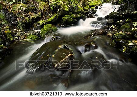 "Mossy creek, Alaska, USA" View Large Photo Image Stock Photo - "Mossy creek, Alaska, USA". Fotosearch